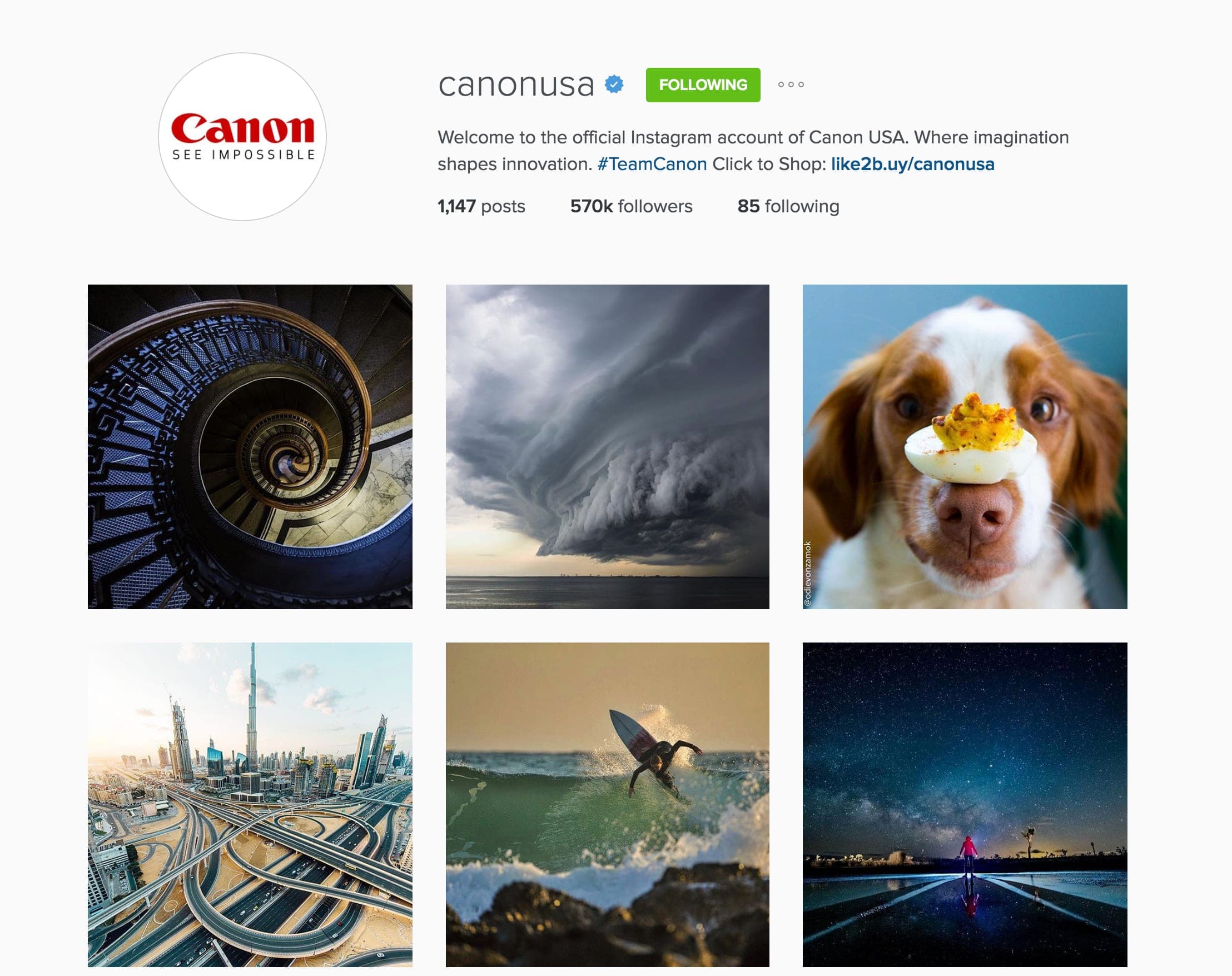 Social Media Handle Launch